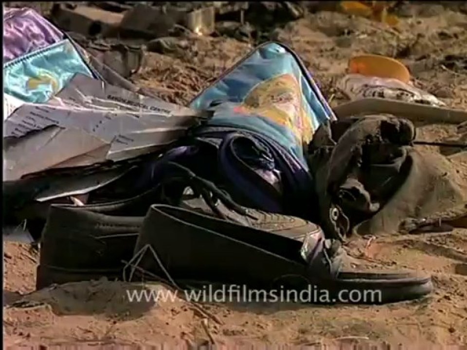 2082.Remains after plane crash
