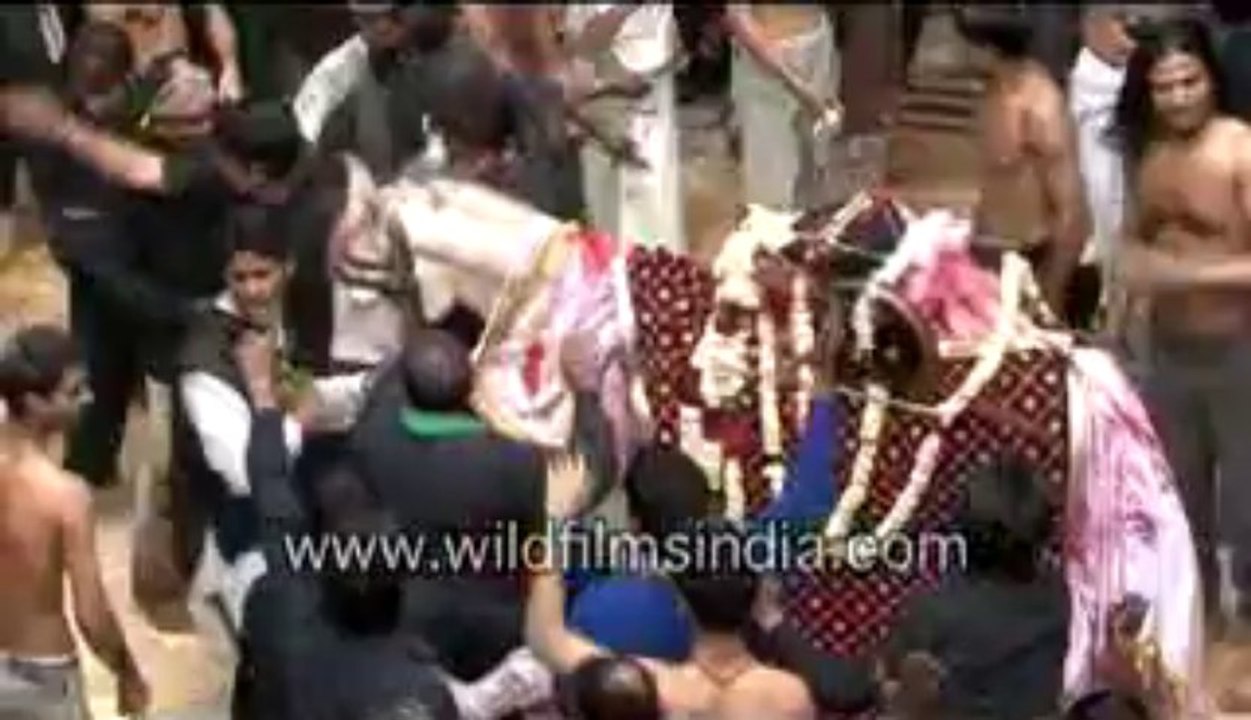 219.Muharram Procession