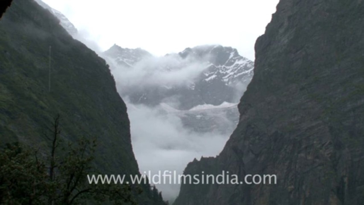 2195.View of valley from Valley of Flowers