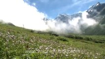 2197.Time lapse of clouds in the hills, Valley of flowers