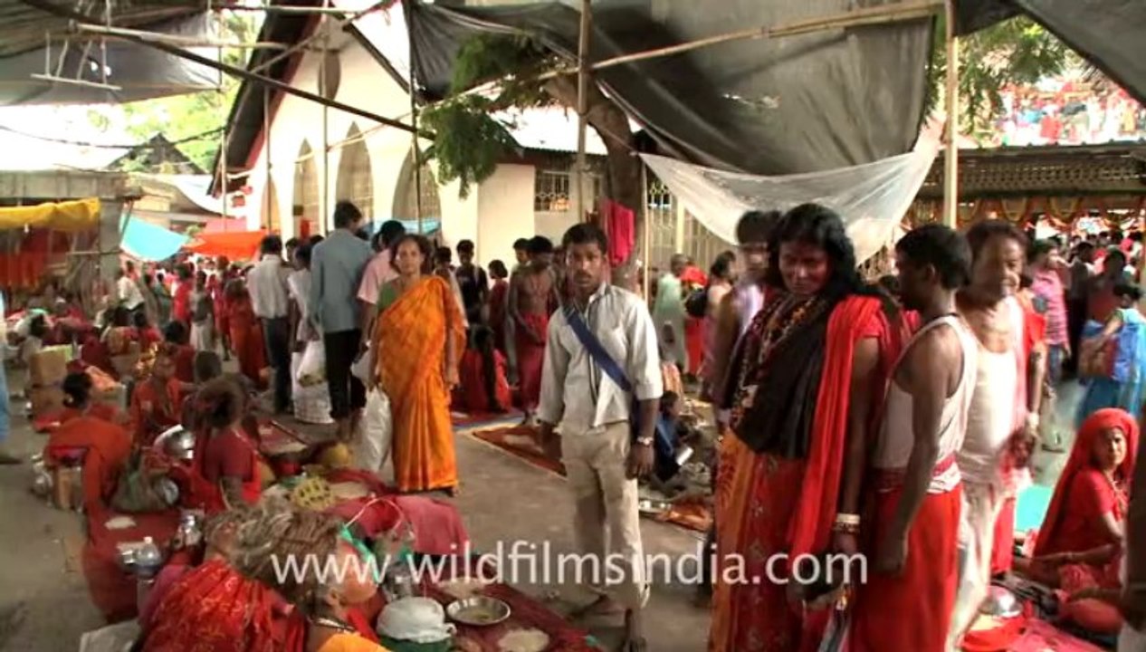 2304.Baba with long hair at kamakhya temple, Guwahati
