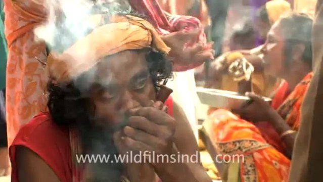 2313.Couple of baba smoking chillum in Ambubachi mela
