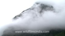 2374.Clouds cover the high mountains of Garhwal!