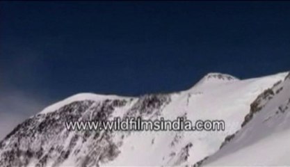 2392.Mountaineers on Mt. McKinley, Alaska