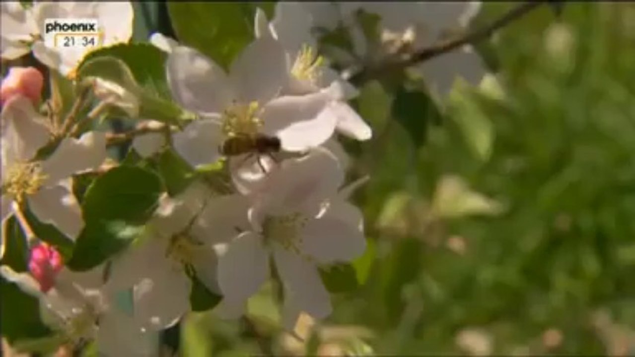 1492_Der Kolumbus Effekt-Teil2