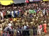 248.Chariot Procession during Jaggannath Rath yatra