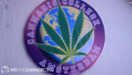 The History of Decriminalizing Marijuana in Holland [WeAreChange]
