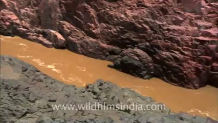 2521.Raneh Falls in Panna district, Madhya Pradesh