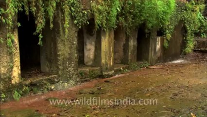 2539.Palaces and temples under a waterfall!