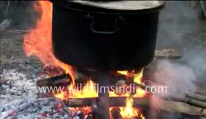 2542.Boar's tripe with aurochs dripping, Arunachali style!