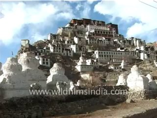 2553.Stok palace, Leh, Jammu & Kashmir