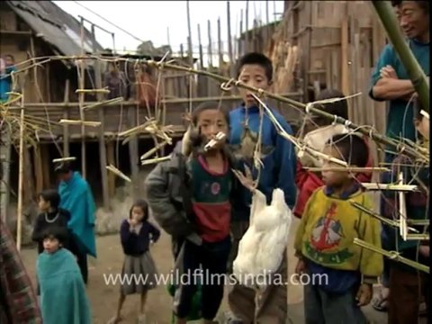 2600.Shaman conducts rain sacrifice!