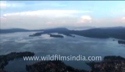 263.Congo rain Forest and River from the air