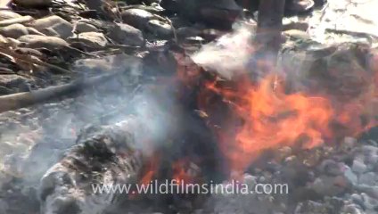 2645.Hindu cremation ceremony