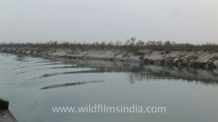 2704,Ferry ride on river Brahmaputra in Assam