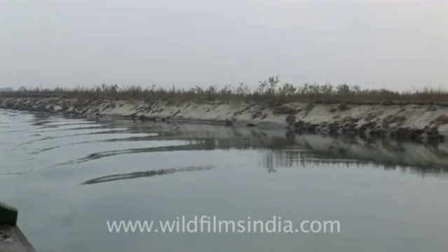 2704,Ferry ride on river Brahmaputra in Assam