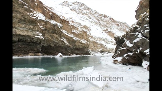 2717.Chadar trek up the Zanskar river!