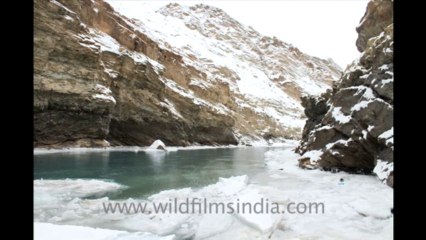 2717.Chadar trek up the Zanskar river!