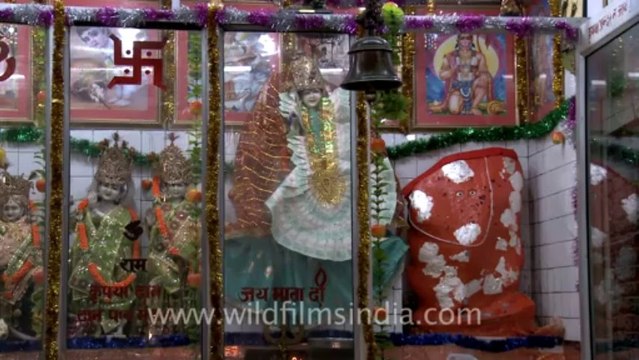 2719.Swastik sign in Indian temple