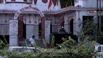 2720.Swastika sign at Shree Jai Ram Mandir, New Delhi
