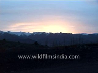 2727.Lone horseman along the road to Leh!