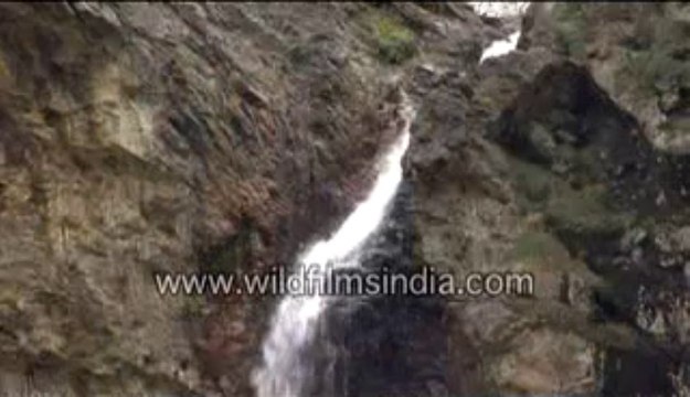 2728.Waterfall in Jallandhri Garh, Uttarakhand