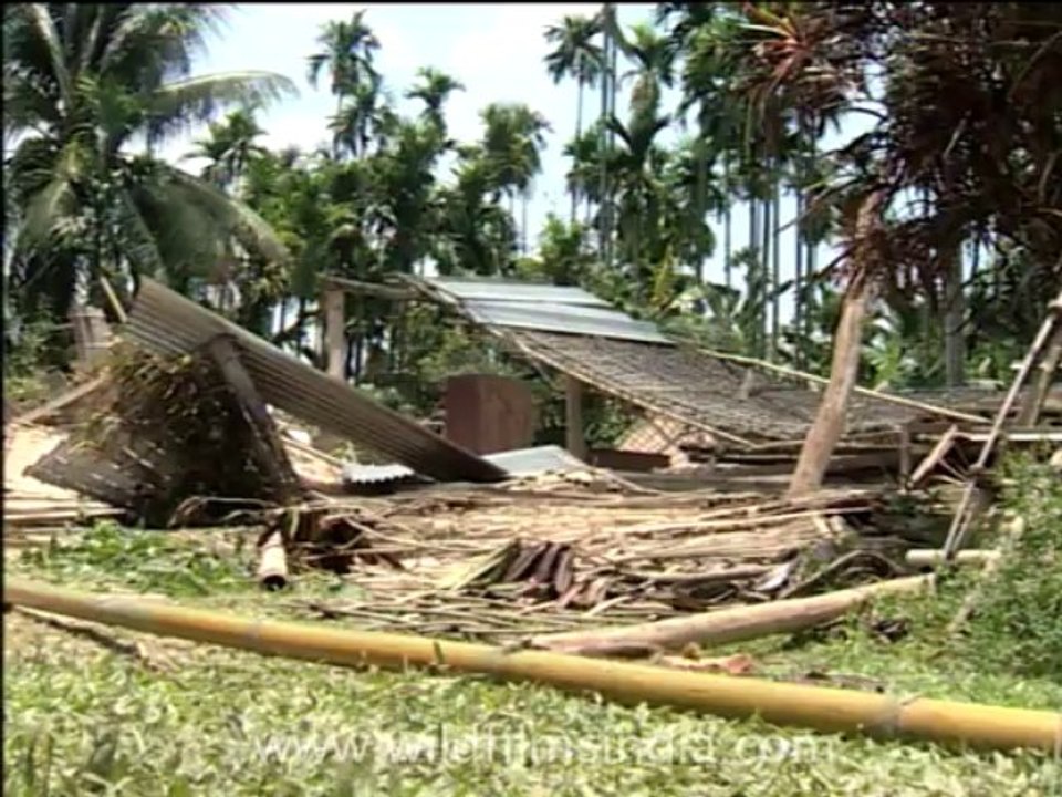 2766.Destroyed by wild elephants!
