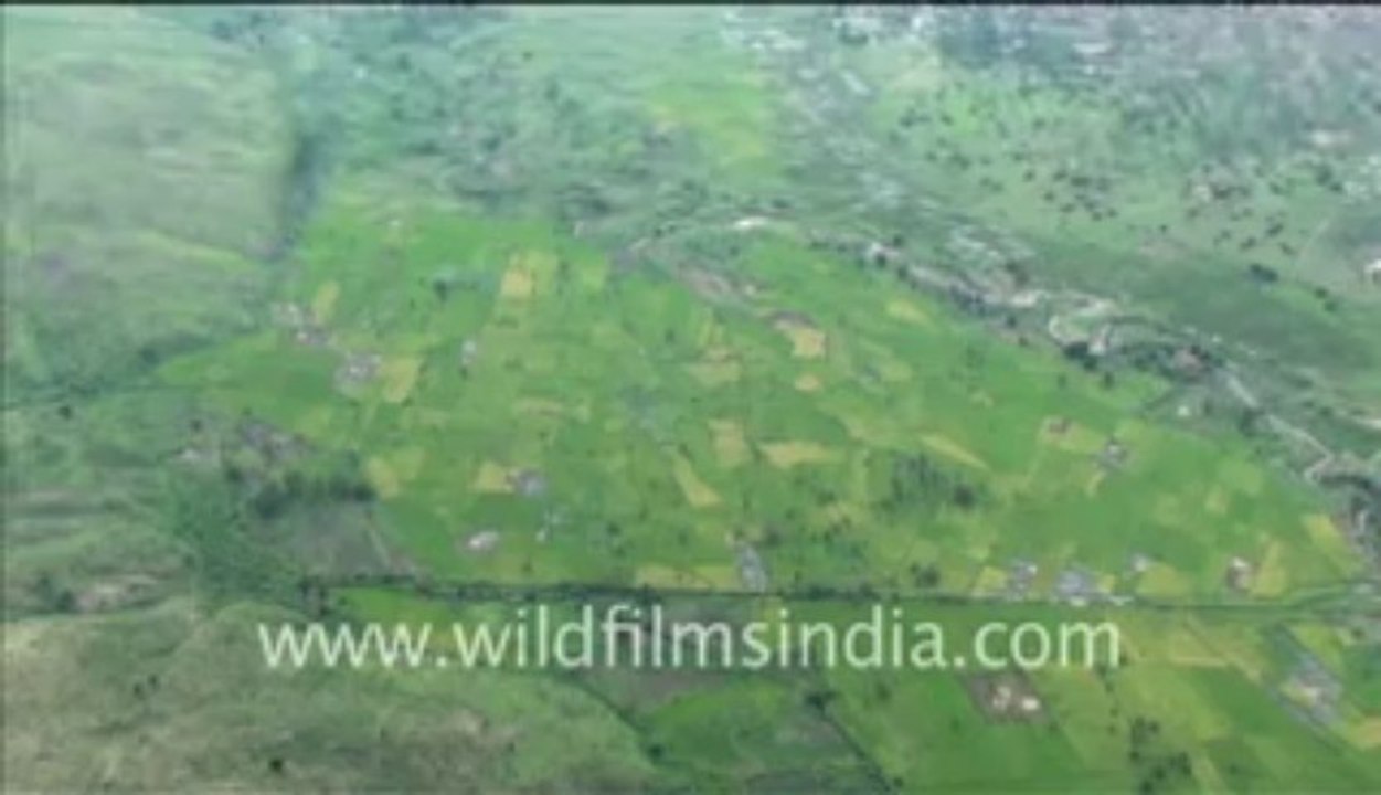 278. Aerial helicopter shot of Congo