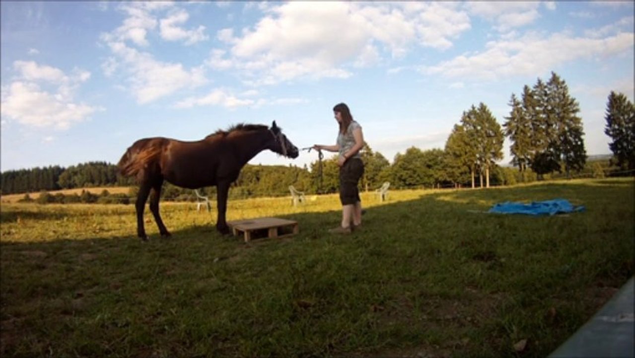 Kaline 20.08.13