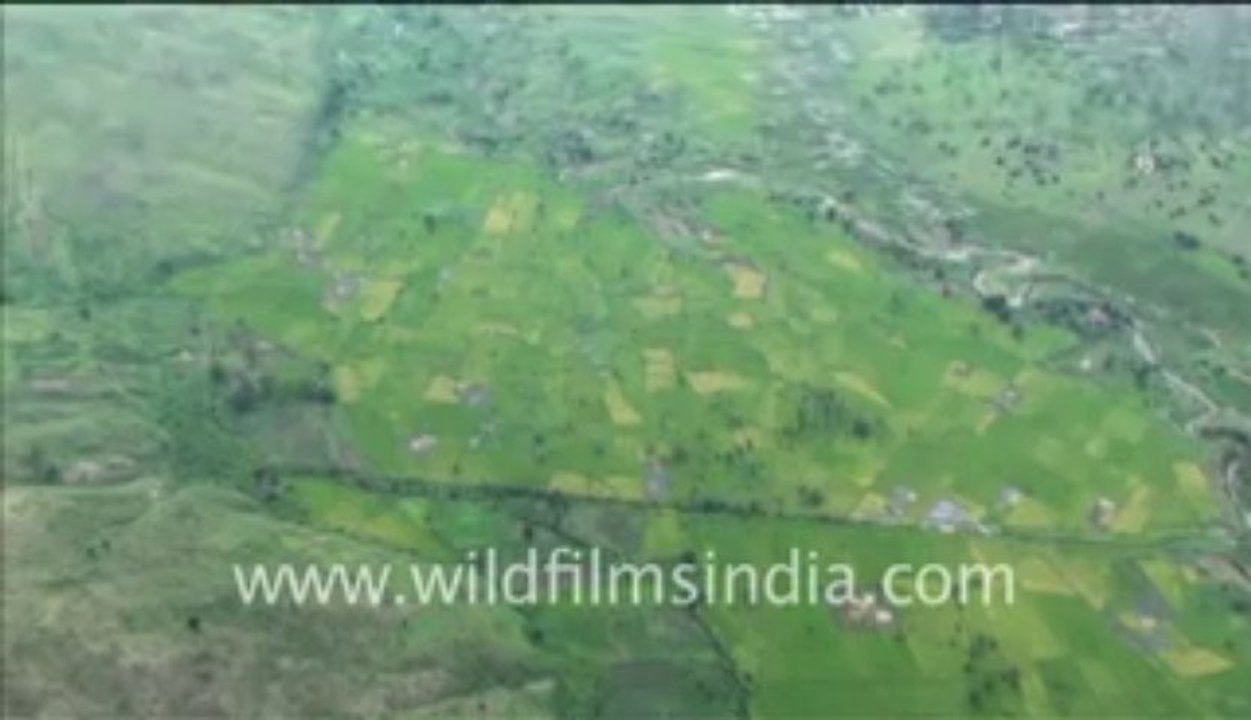 291.Aerial shots of dense rain forest of Congo