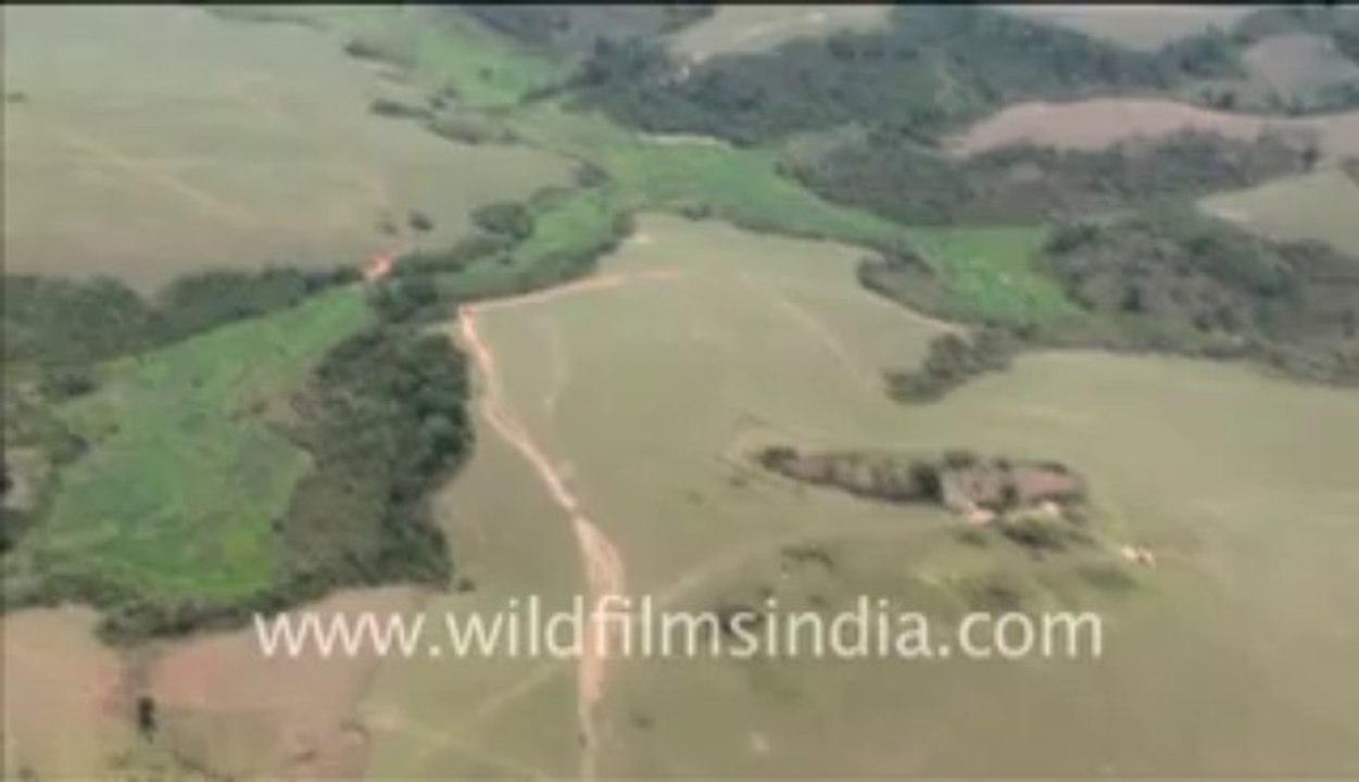 294.Aerial shots of Congo