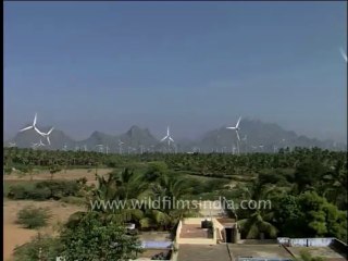 3019.Windmills in Kerala