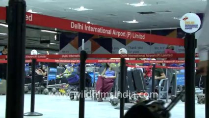 3106.Indra Gandhi International Airport Terminal 3, New Delhi