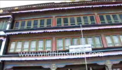 40. March of the Apatanis-part 3