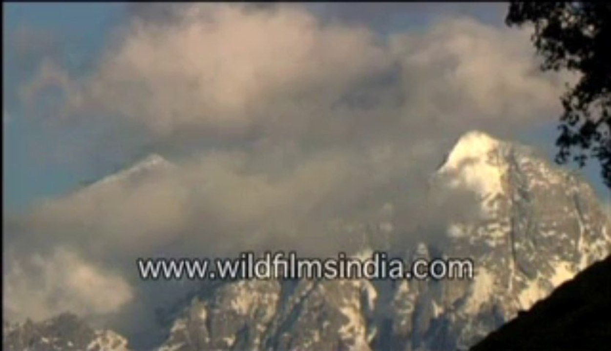 467.Mt. Srikantha from above Harsil!
