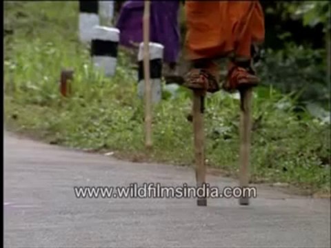 481. 100 mile pilgrimage on stilts,going up hill