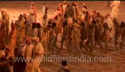 510.Buck naked Naga sadhu (saints of India)