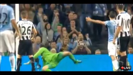 Yaya Toure Amazing Freekick vs Newcastle United