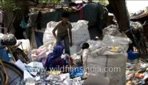 647.Garbage collectors outside New Delhi