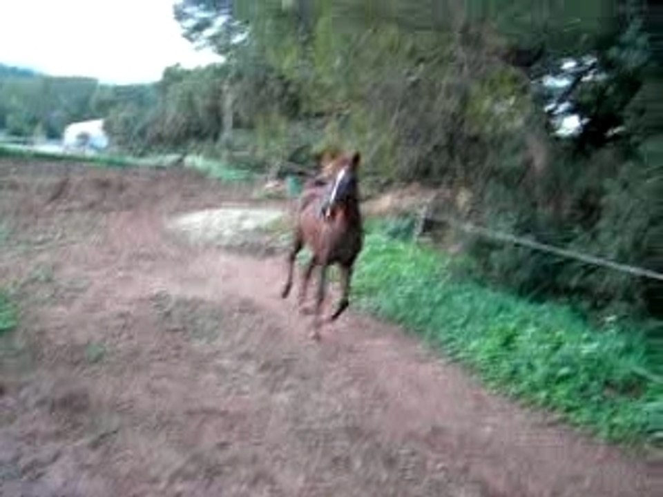 ma jument