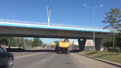 un camion transporte un cerf géant