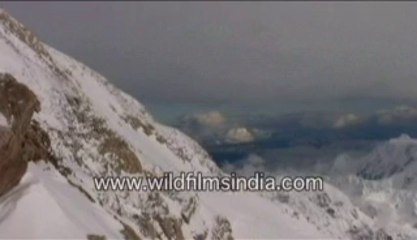 742.Alaska covered in snow