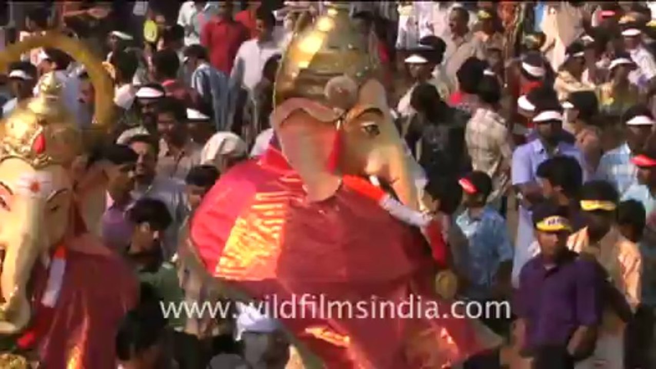 792.Elephant Festival