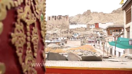 844.Ladakh Landscape