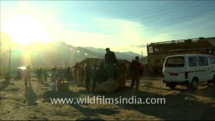 956.Relief Camps, Ladakh