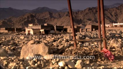 965.Relief Camps in Ladakh
