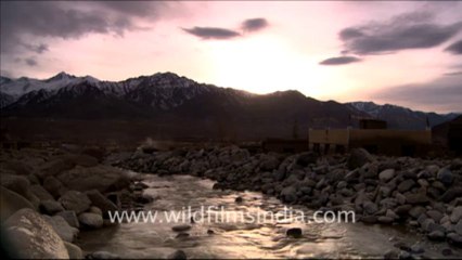 966.Village in Ladakh