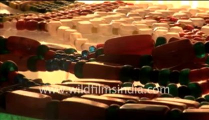 Arunachal_55-MPEG-4 800Kbps