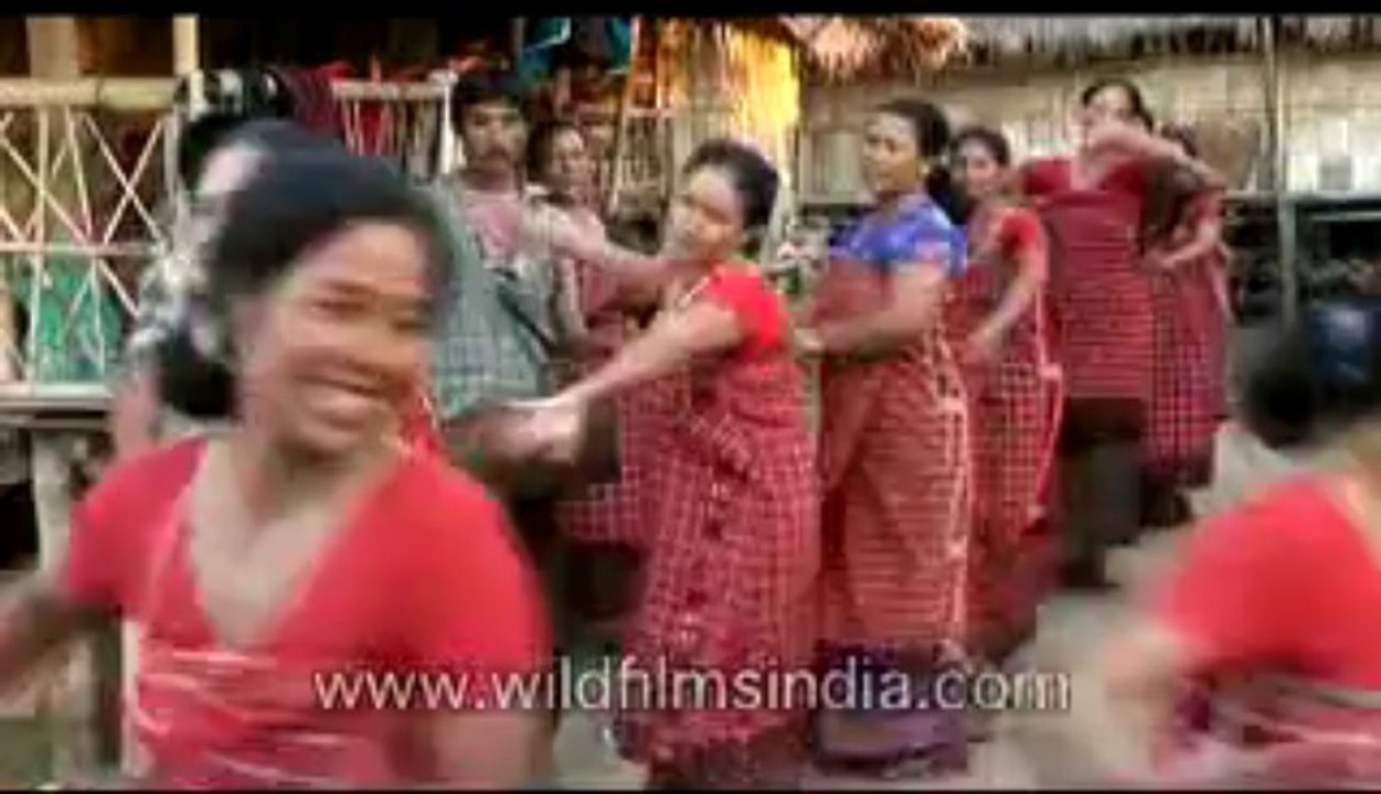 assamese dance-MPEG-4 800Kbps