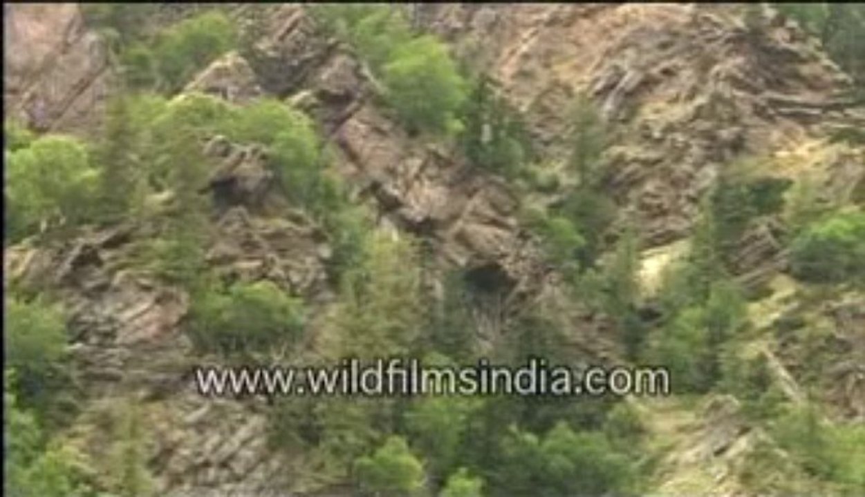 Beautiful hills-MPEG-4 800Kbps